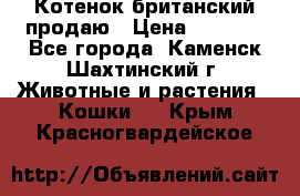 Котенок британский продаю › Цена ­ 3 000 - Все города, Каменск-Шахтинский г. Животные и растения » Кошки   . Крым,Красногвардейское